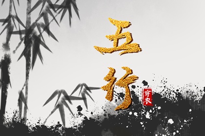 排紫微斗数命盘,查命盘紫微斗数,紫微运势曲线算命,姓名命盘,分析命盘